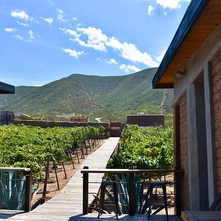 Bed and Breakfast Uvauva Eco-Retreat Вальє-де-Гуадалупе Екстер'єр фото