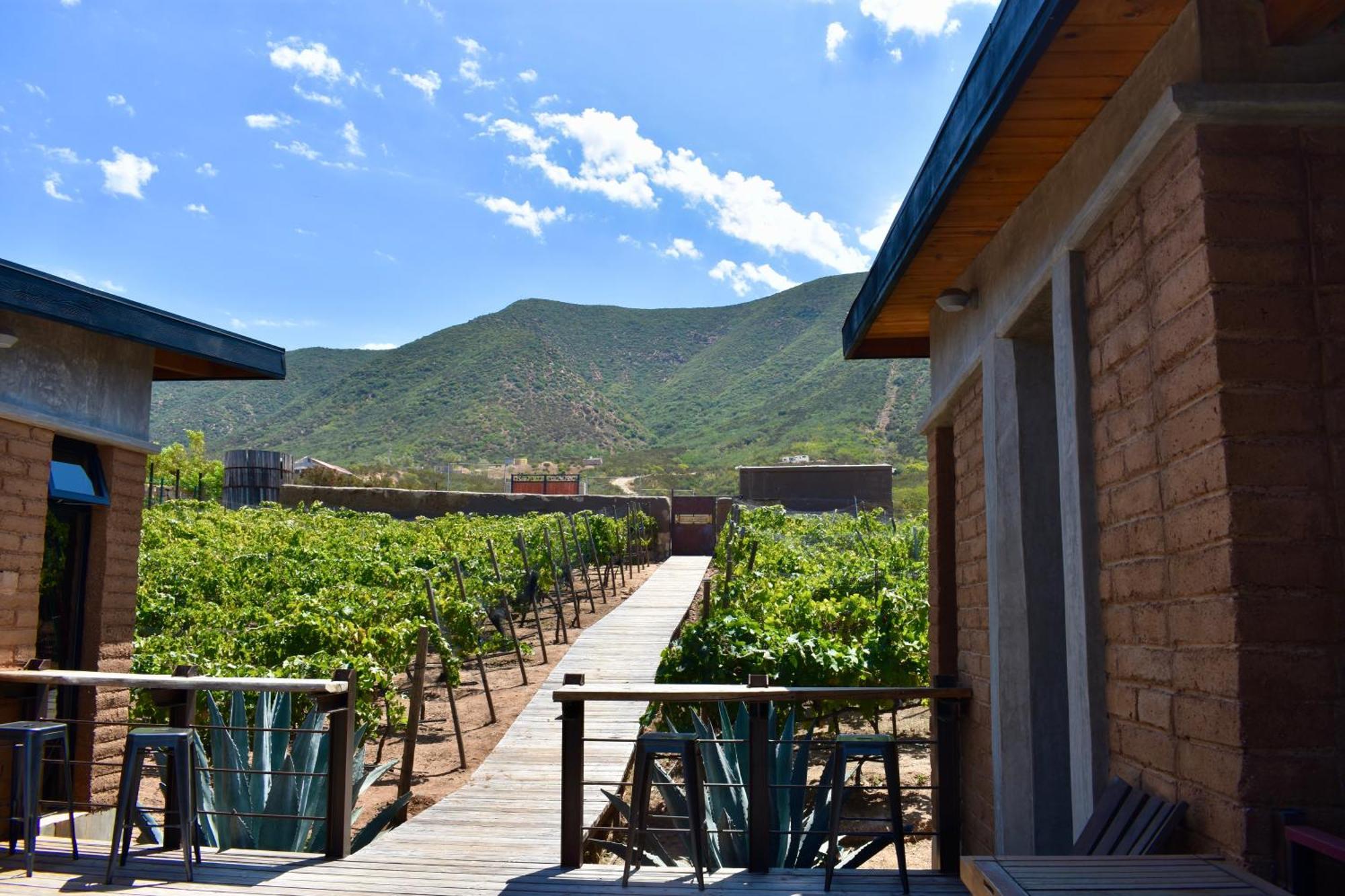 Bed and Breakfast Uvauva Eco-Retreat Вальє-де-Гуадалупе Екстер'єр фото